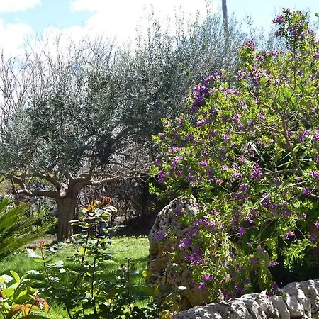 Frühstückspension Limone Noto